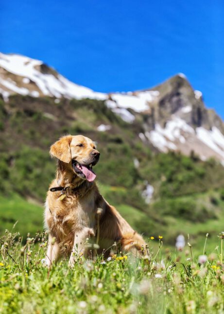 Luke loves playing outside in our beautiful nature.