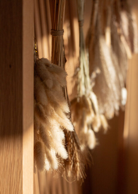 Detailed picture of dried flowers in the wellness area