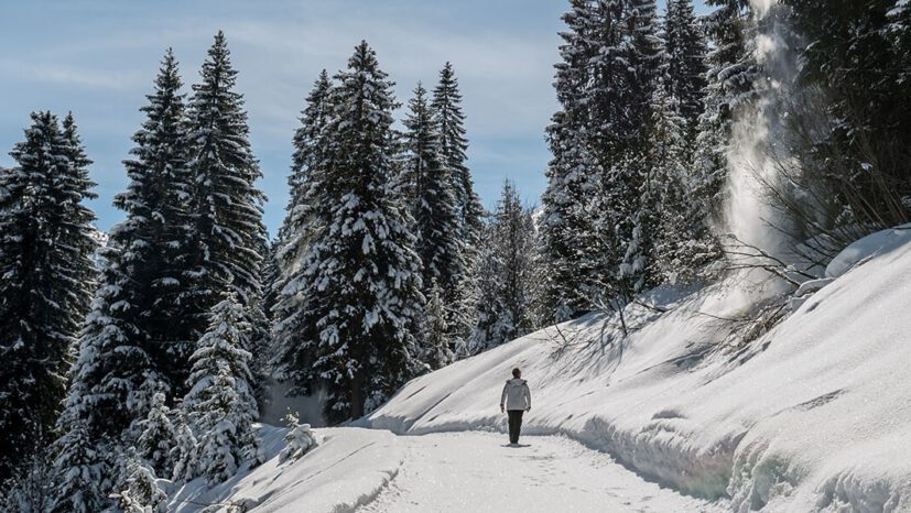 Person walking on the winter hiking trail through the snowy forest.